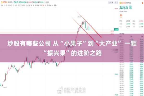 炒股有哪些公司 从“小果子”到“大产业” 一颗“振兴果”的进阶之路
