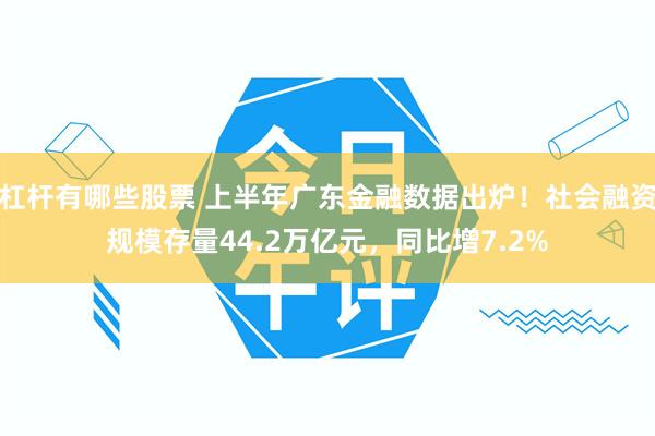杠杆有哪些股票 上半年广东金融数据出炉！社会融资规模存量44.2万亿元，同比增7.2%