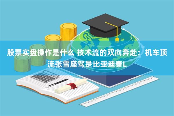 股票实盘操作是什么 技术流的双向奔赴：机车顶流张雪座驾是比亚迪秦L