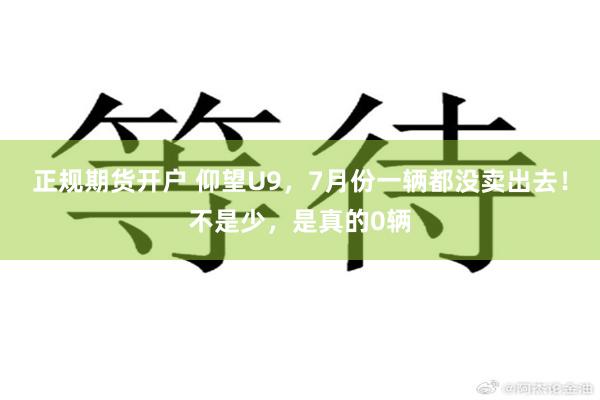 正规期货开户 仰望U9，7月份一辆都没卖出去！不是少，是真的0辆