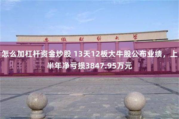 怎么加杠杆资金炒股 13天12板大牛股公布业绩，上半年净亏损3847.95万元