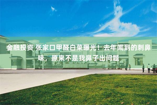 金融投资 张家口甲醛白菜曝光！去年闻到的刺鼻味，原来不是我鼻子出问题