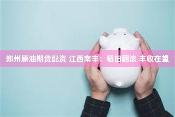 郑州原油期货配资 江西南丰：稻田翻滚 丰收在望