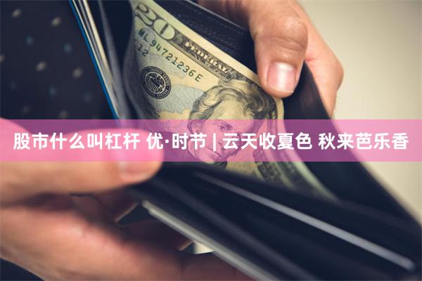 股市什么叫杠杆 优·时节 | 云天收夏色 秋来芭乐香