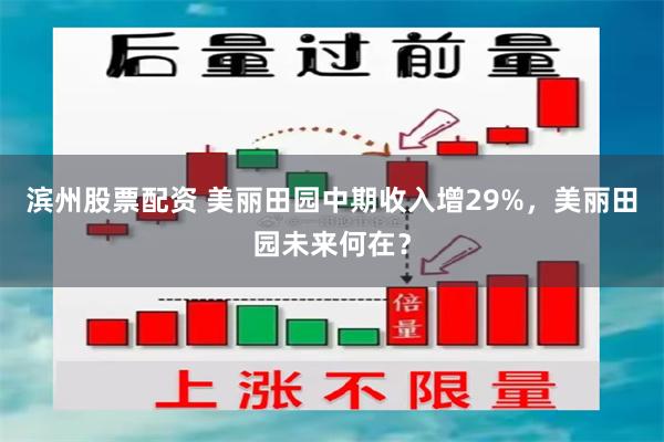 滨州股票配资 美丽田园中期收入增29%，美丽田园未来何在？