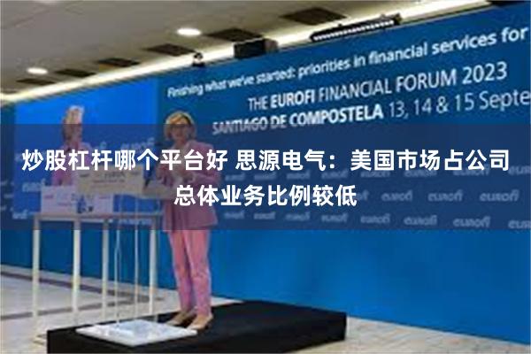 炒股杠杆哪个平台好 思源电气：美国市场占公司总体业务比例较低