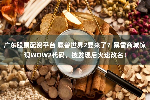 广东股票配资平台 魔兽世界2要来了？暴雪商城惊现WOW2代码，被发现后火速改名！
