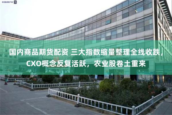 国内商品期货配资 三大指数缩量整理全线收跌，CXO概念反复活跃，农业股卷土重来