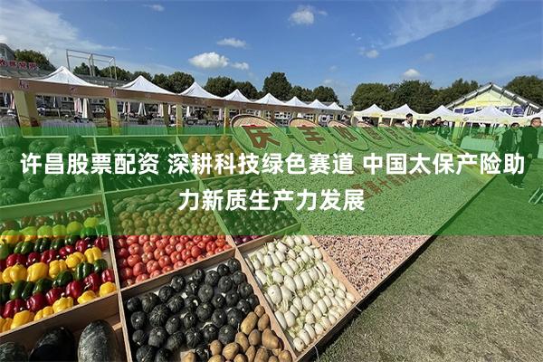 许昌股票配资 深耕科技绿色赛道 中国太保产险助力新质生产力发展