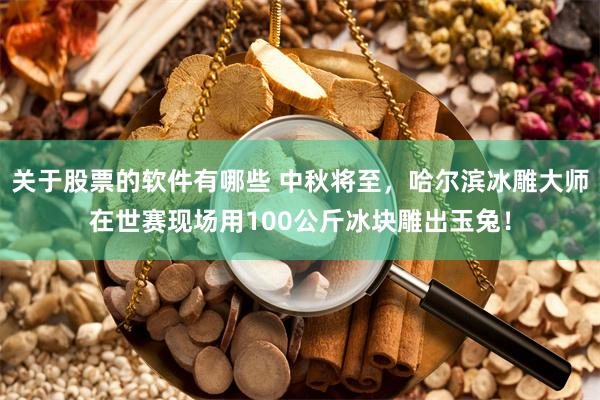 关于股票的软件有哪些 中秋将至，哈尔滨冰雕大师在世赛现场用100公斤冰块雕出玉兔！