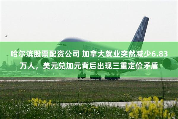 哈尔滨股票配资公司 加拿大就业突然减少6.83万人，美元兑加元背后出现三重定价矛盾