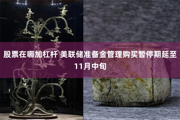 股票在哪加杠杆 美联储准备金管理购买暂停期延至11月中旬