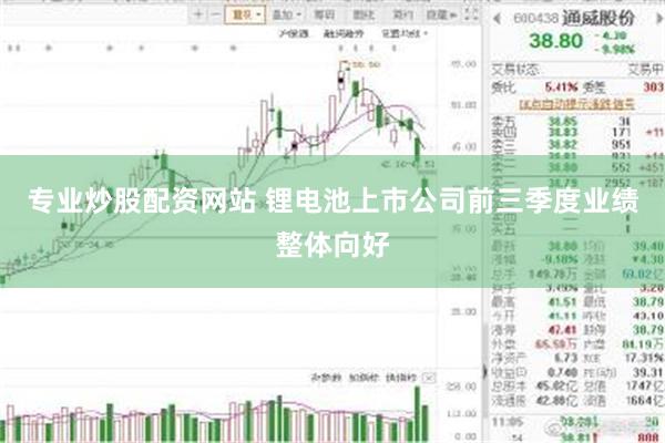 专业炒股配资网站 锂电池上市公司前三季度业绩整体向好