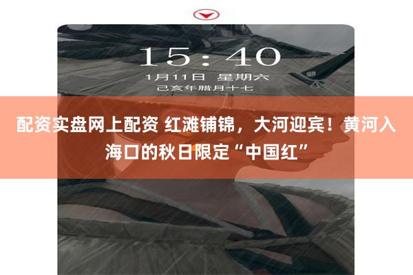 配资实盘网上配资 红滩铺锦,大河迎宾!黄河入海口的秋日限定“中国红”